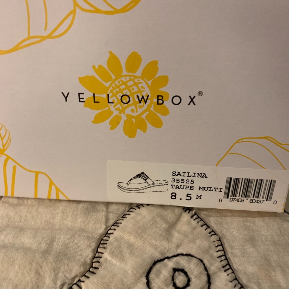 Yellow box Sanders
